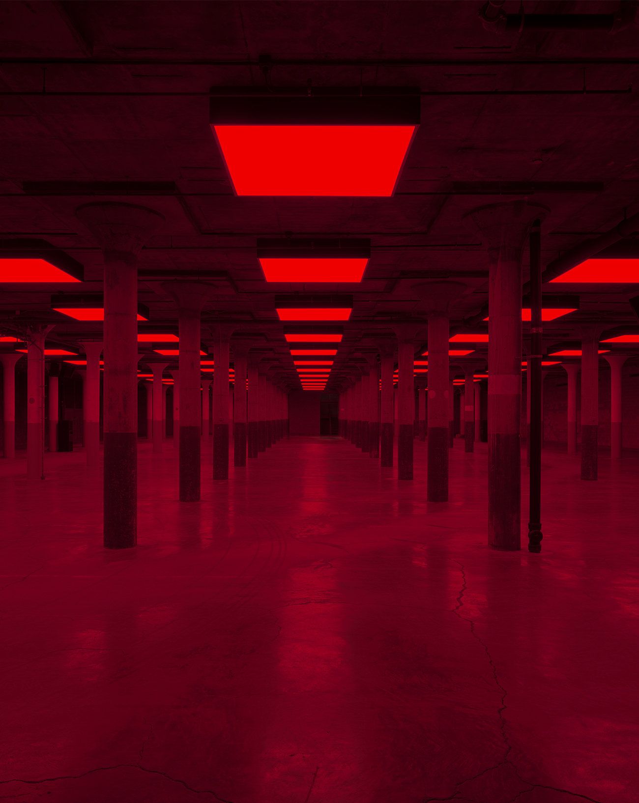 Vue de l'exposition Steve McQueen à la Dia Beacon.